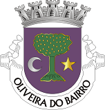 Página Wikipédia de Oliveira do Bairro
