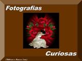 Fotografias Curiosas